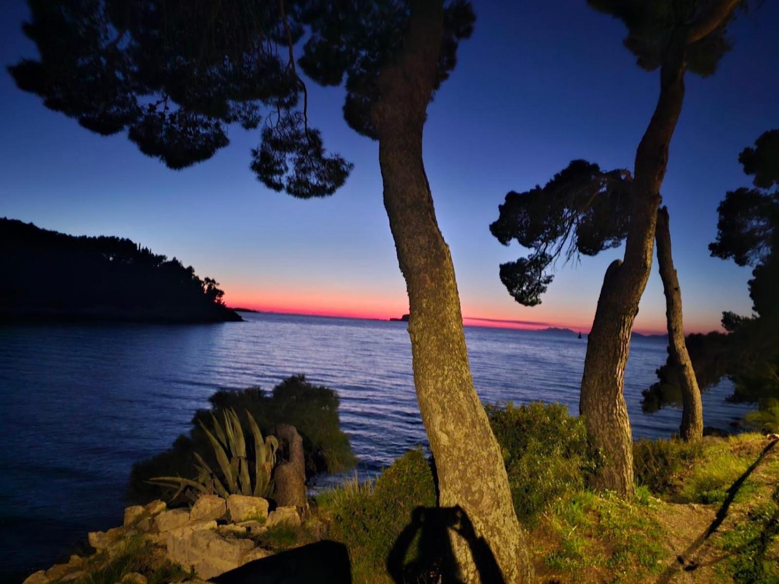 Villa Anica Dubrovnik - Luxurious With A Sea View ภายนอก รูปภาพ